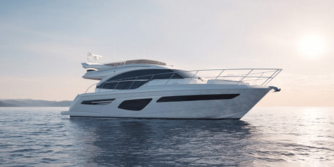 Princess 55